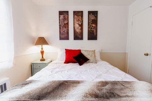 Apartamento The Jungle Emerald ? Central Slc? Fast Wifi ? Free Parking ?