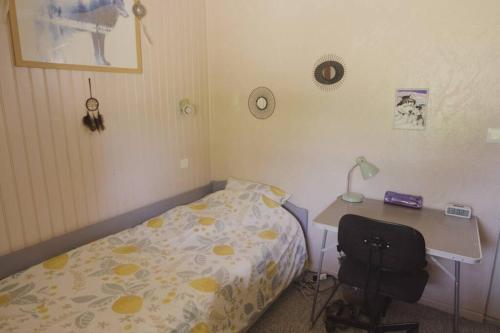 Maison,piscine,�tang P�che Priv� (la Pachere 64 )