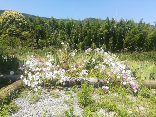 Apartamento G�te De Trabuc, C�vennes