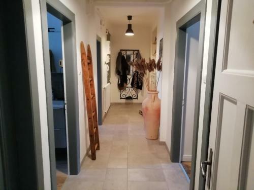 Chambre Chez L Habitant Metz