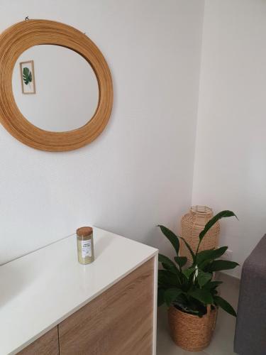 Apartamentos Superbe 2 Pi�ces Neuf � 100m De La Plage
