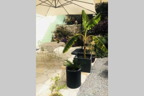 Apartamento Suite-appartement de Charme Au Bord de Mer