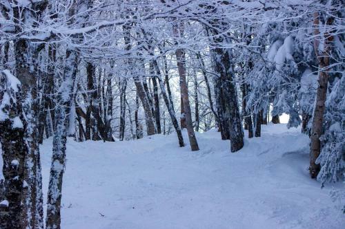 Apartamento Private Suites At Wyndham Smugglers' Notch Resort
