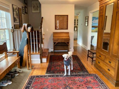 Bed & Breakfast The Birch Grove