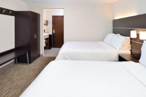 Hotel Holiday Inn Express Wixom
