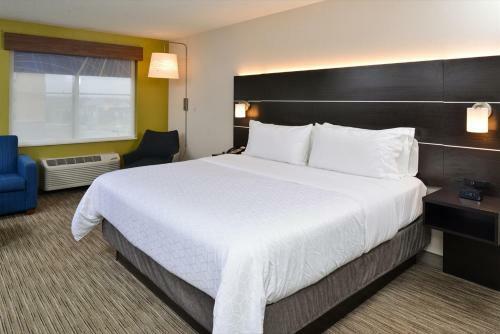 Hotel Holiday Inn Express Wixom