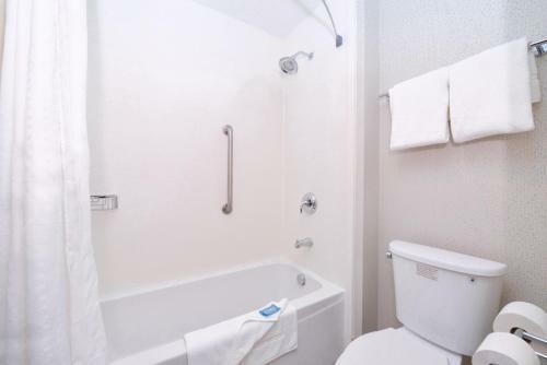 Hotel Holiday Inn Express Wixom