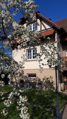 Apartamento Gite "le Platane" 45 M2 - Climatis�