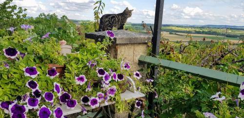 Bed & Breakfast 39 Tour De Ville