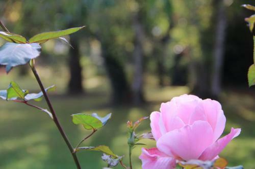 Bed & Breakfast La Belle Monsoise