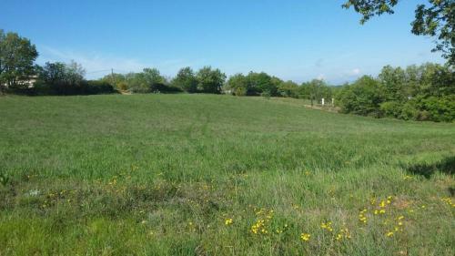 Apartamento Loft Avec Mezzanine