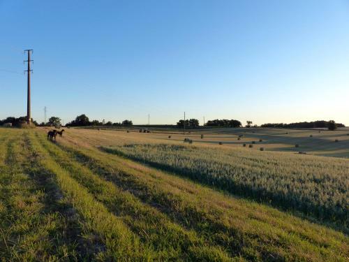 Apartamento La Ferme Des Paons