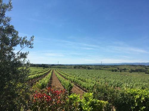 Welcoming Villa With Pool In Montburn-des-corbieres