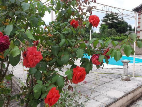 Bed & Breakfast Chambre D'h�tes Le Puits Darcy