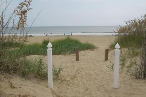Sandy Castle