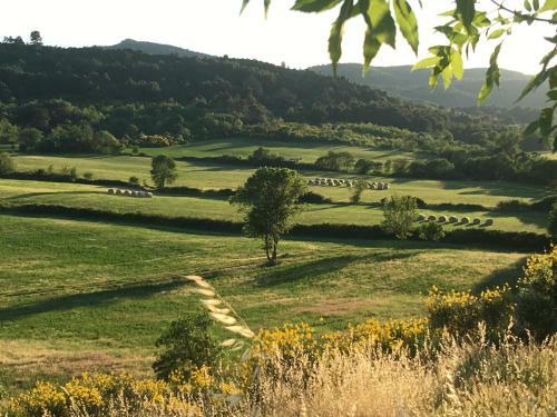 Domaine De Villefrancou