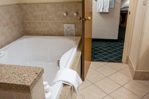 Hotel Bavarian Inn Lodge