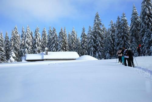 Le Petit Jura