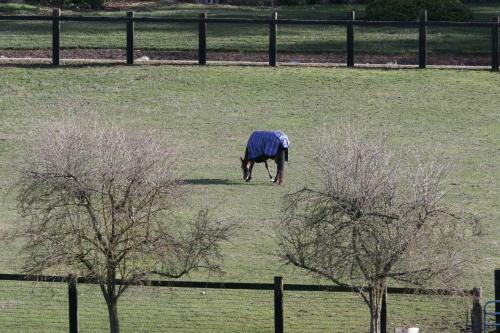 Wildwood Farm Bed & Breakfast