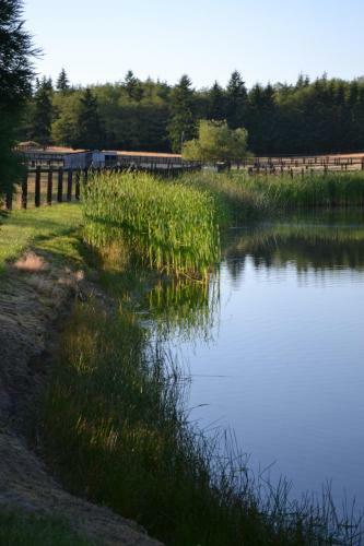Wildwood Farm Bed & Breakfast