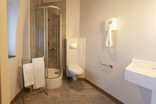 Hotel H�tel Nancy Gare-congr�s