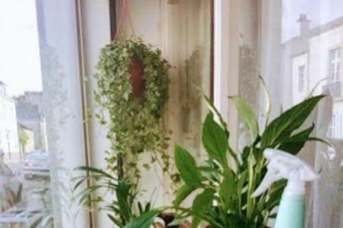 Apartamento Barbuat, Grand Cosy