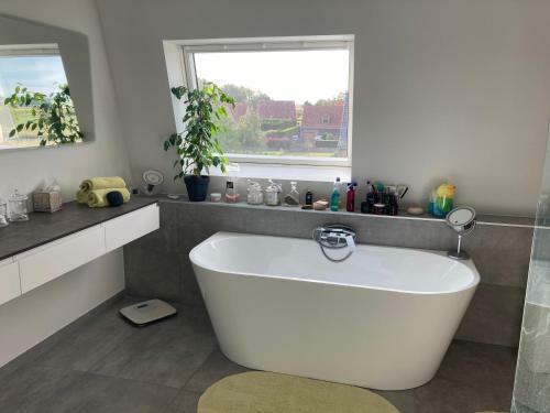 Chambre D H�te Avec Piscine