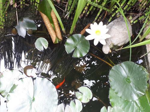 Bed & Breakfast Le Moulin Neuf De Parenty