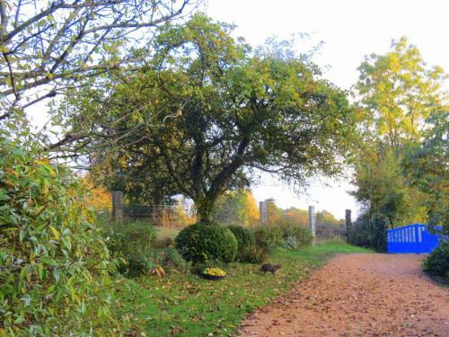 Bed & Breakfast Le Chant Des Fees