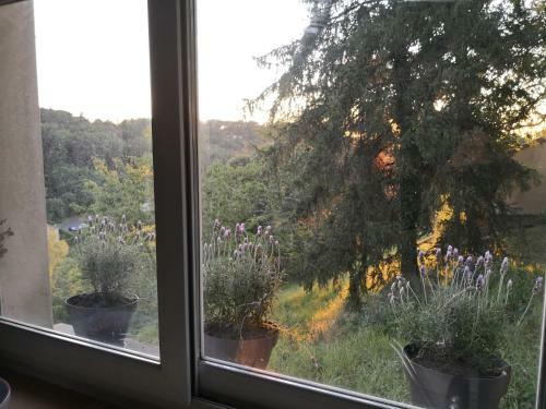 Chambre Meubl�e Avec Vue Panoramique � P�rigueux