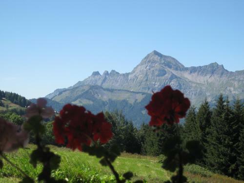 Aparthotel La Ferme Des Georgi�res