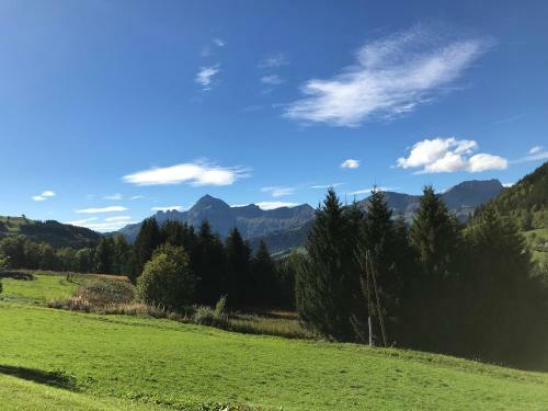 Aparthotel La Ferme Des Georgi�res