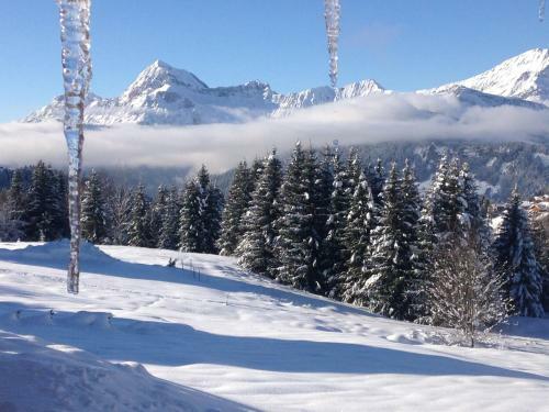 Aparthotel La Ferme Des Georgi�res