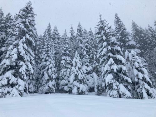 Apartamento Demi Chalet Le Lachat