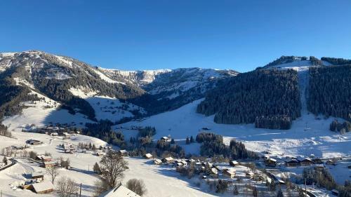 Apartamento Demi Chalet Le Lachat