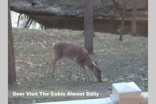 Wisconsin Dells Cabin In The Woods - Vld0423