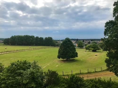 Bed & Breakfast Ch�teau De Montaupin