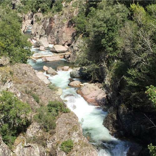 Agroturismo Chjassi Di Livesi