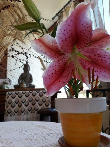 Bed & Breakfast La Maison de Marie-jeanne - Chambres Et Table D'h�tes