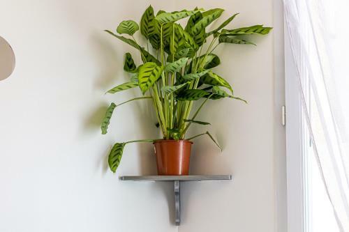 Apartamento Appartement Haut Standing Proche Commerces - Orchidee