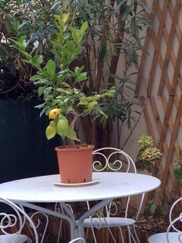 Apartamento 300m Des Plages - Le Rex Gambetta