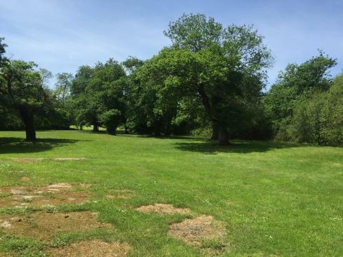 Bed & Breakfast L'intemporelle