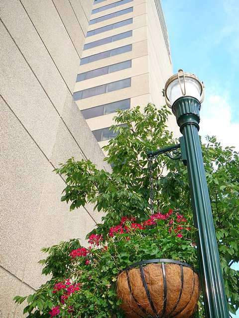 Hotel Hilton Lexington/downtown