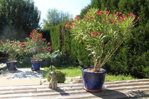 Bed & Breakfast La Villanelle