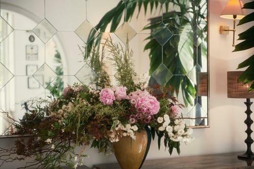 Hotel H�tel Bristol Pau