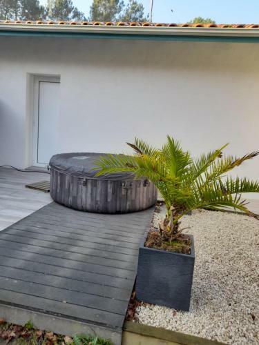 Hostal Chambre D'h�tes Du Pin