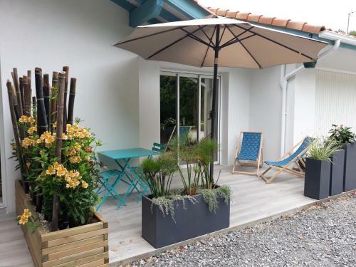Hostal Chambre D'h�tes Du Pin
