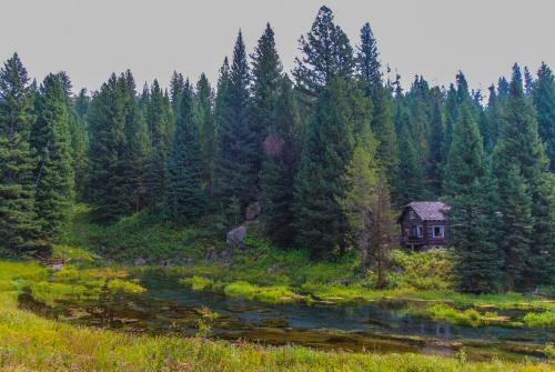 Hotel Timbers At Island Park