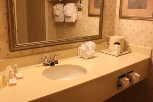 Hotel Wingate By Wyndham Atlanta-duluth