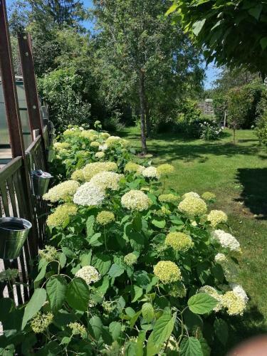 Bed & Breakfast Chambre D'h�tes Les Magnolias